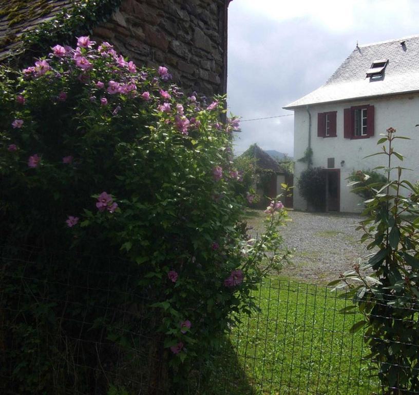 Chambres d'Hôtes Maison Paillet Montory Exterior foto